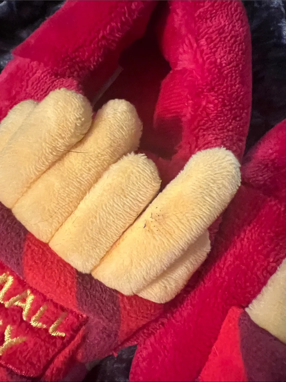 Small Fry Toddler Slippers 5/6